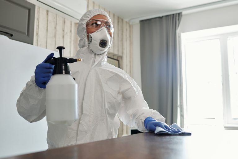 How Disinfectant Services Keep Your Work Environment Clean and Safe